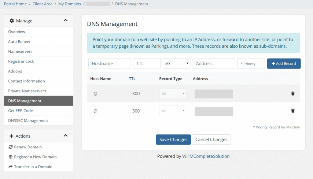 a DNS management panel