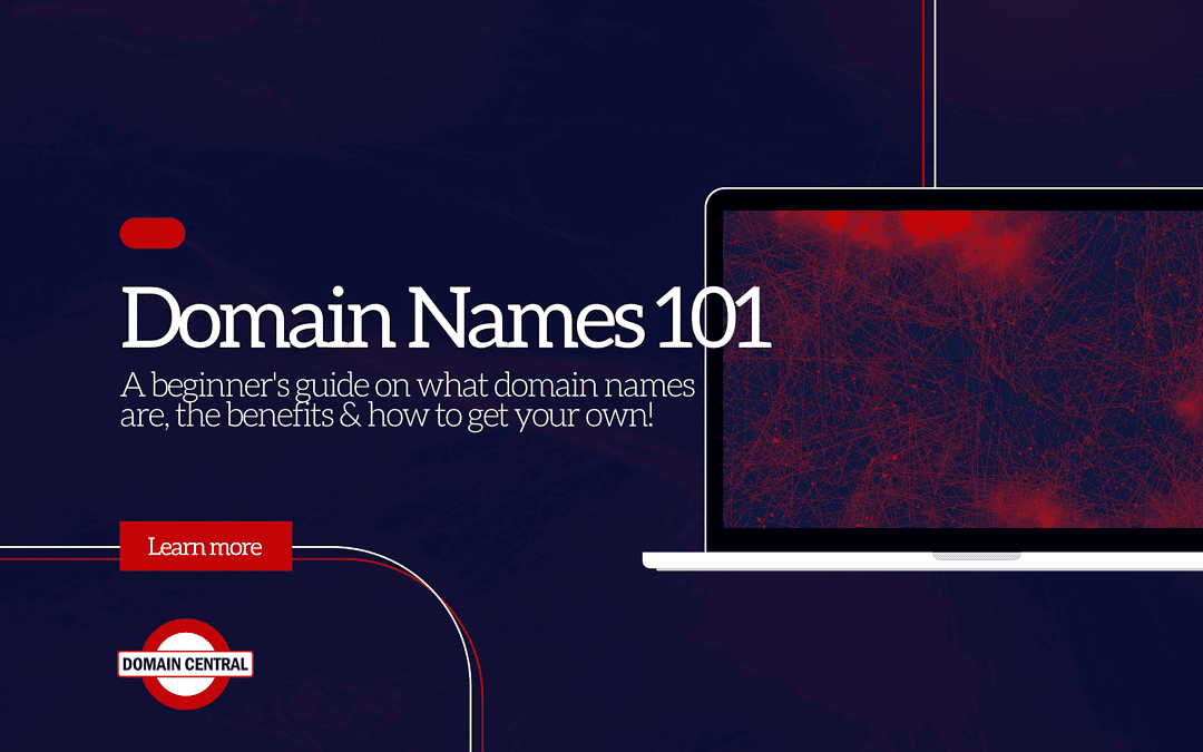 Domain Names 101